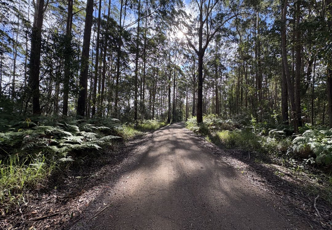 Bike On Bike Tours in Noosa Hinterland using mountain bikes and ebikes