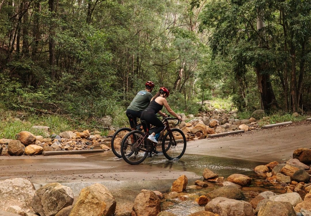 Bike On Bike Tours in Noosa Hinterland and Noosa areas