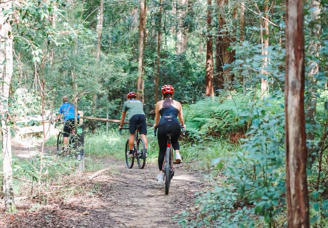 Bike On Bike Tours in Noosa Hinterland easy tracks for beginners