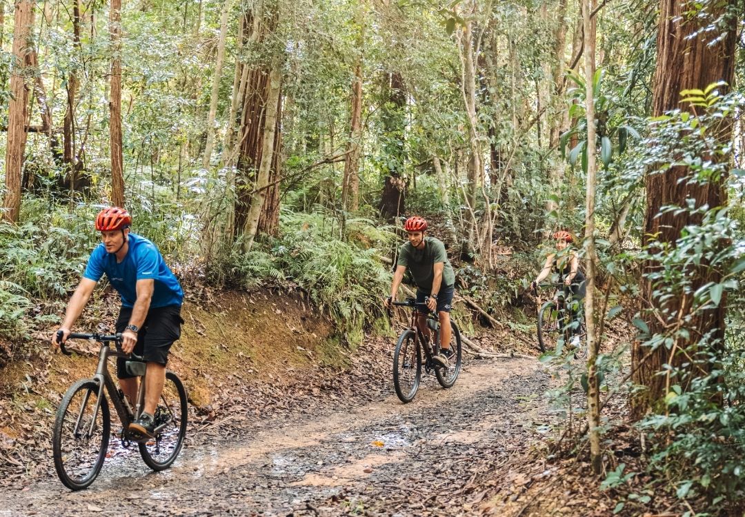 Bike On Bike Tours in Noosa Hinterland gravel tours
