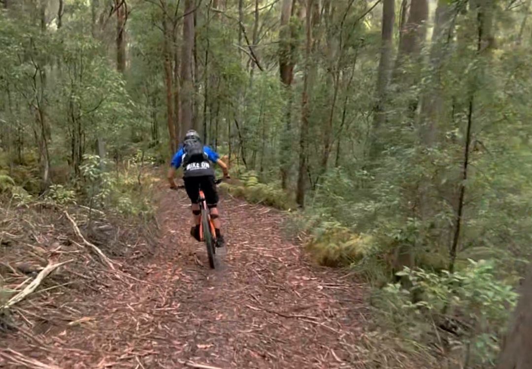 Bike On Bike Tours in Noosa Hinterland downhill