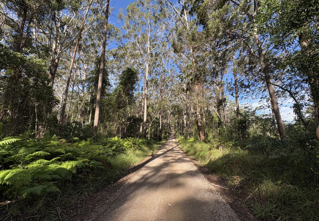 Bike On Bike Tours in Noosa Hinterland using ebikes and mountain bikes