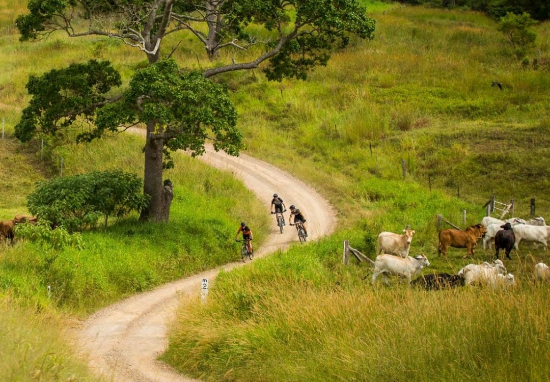 Bike On Bike Tours in Noosa Hinterland through farmlands