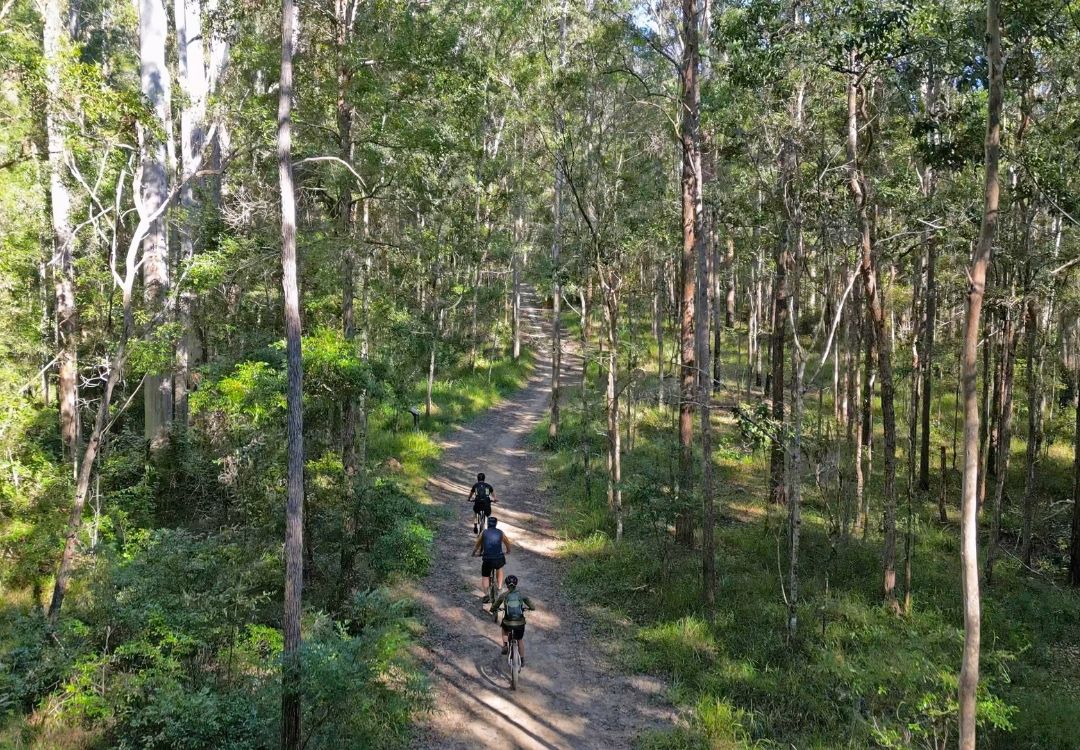 Bike On Bike Tours in Noosa Hinterland for group tours