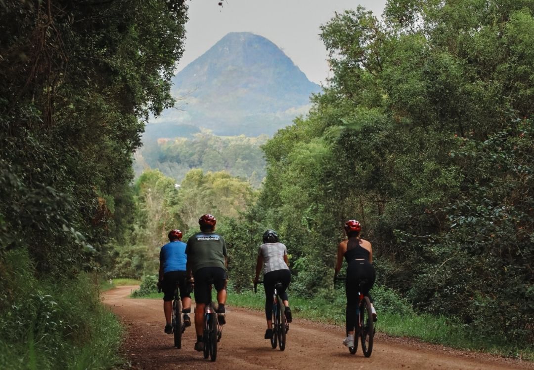 Bike On Bike Tours in Noosa Hinterland bike tours through many tracks in the Noosa Hinterland