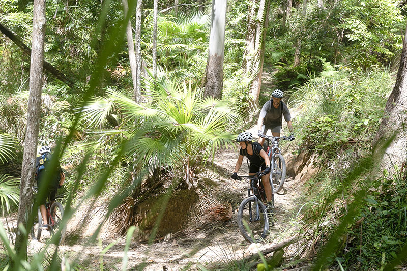 Discover local insights, Noosa riding tips, e-Bike guides, hidden trails and riding inspiration from Bike On. Explore the best of Noosa by bike.