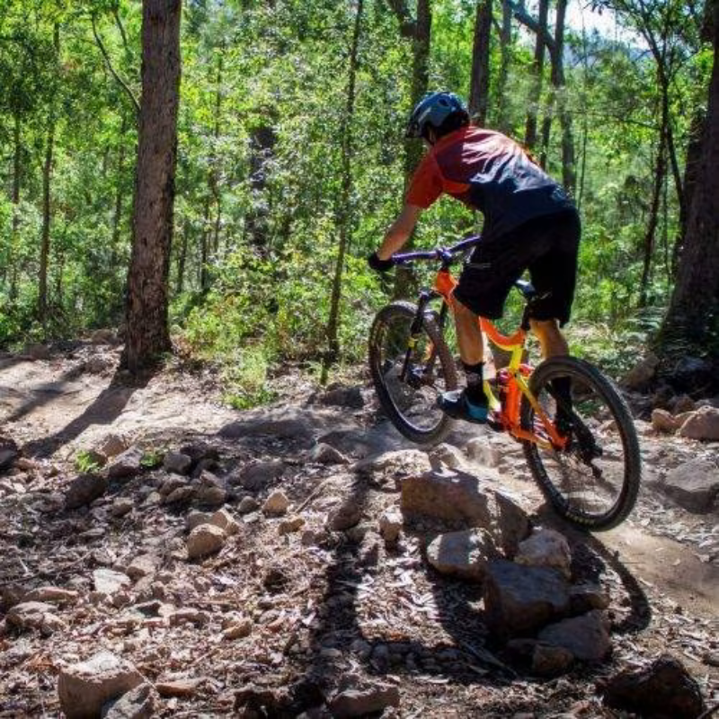 Mountain Bike
