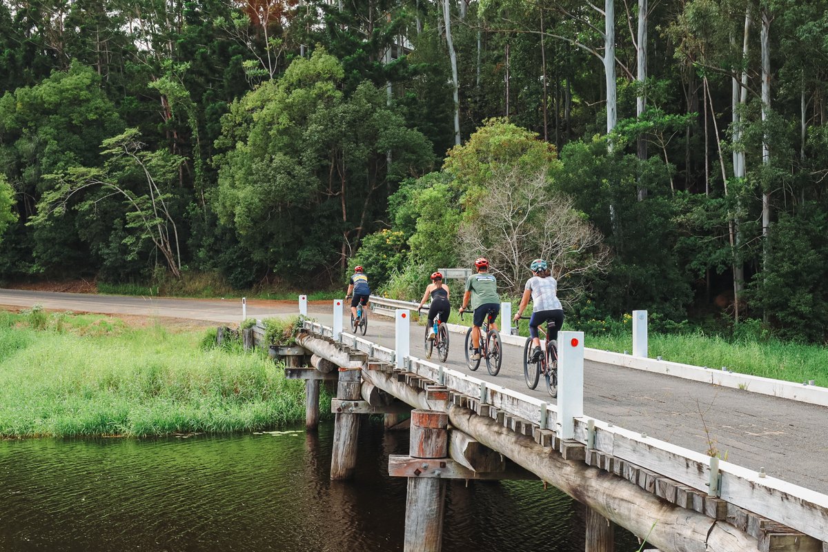 Group of cyclists crossing an old timber bridge beside the rainforest