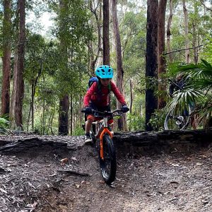 Young rider rolling down a dirt step on a forest trail
